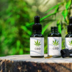 CBD cannabis OIL. Cannabis oil in pipette, hemp product. Concept of herbal alternative medicine, cbd oil, pharmaceutical industry